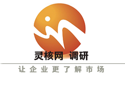 北京市場調查咨詢公司 北京靈核網市場調研公司
