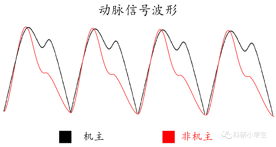 物聯(lián)網(wǎng)時代的身份認證：腕表動脈認證